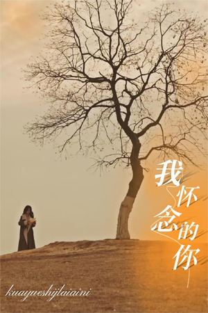 我怀念的你（38集）最火短剧推荐