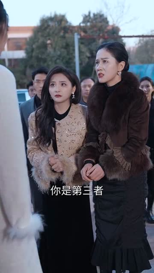 限时深情(55集) 限时深情(55集)百度网盘资源