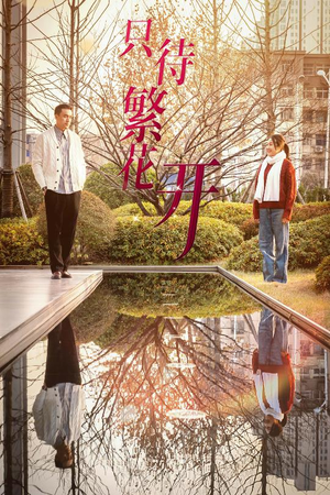 只待繁花开（35集）精彩热门短剧