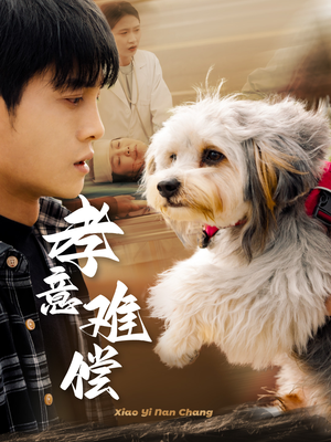 孝意难偿(32集) 孝意难偿(32集)甜宠短剧推荐