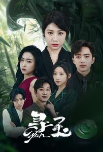 寻玉（77集）古代短剧推荐