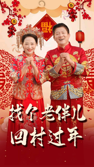 找个老伴儿回村过年（58集）免费短剧看不停