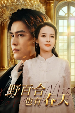 野百合也有春天（85集）爆火短剧追不停