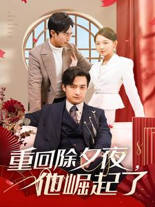 重回除夕夜他崛起了（89集）热门短剧分享