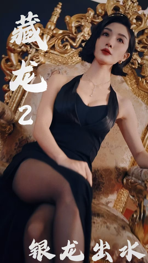 藏龙2银龙出水（35集）短剧片段推荐