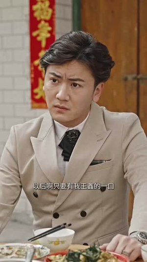 有钱没钱回家过年(35集) 有钱没钱回家过年(35集)全集