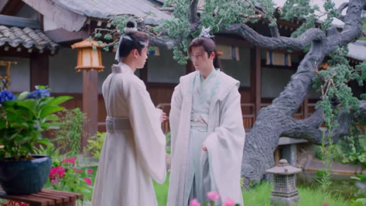 红颜无双（24集）演的怎么样