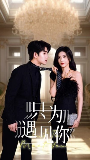 只为遇见你(88集) 只为遇见你(88集)看短剧放松一下