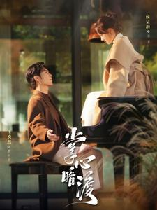 掌心暗渡（69集）全集一次看完