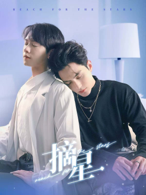 摘星（81集）在哪个平台看