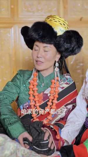 藏医传说（84集）百度网盘在线看