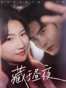 藏于昼夜（68集）高清画质免费看