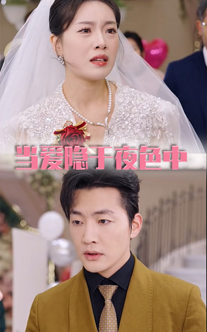 当爱隐于夜色中(37集) 当爱隐于夜色中(37集)短剧后续更精彩