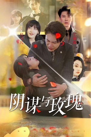 阴谋与玫瑰（31集）短视频追剧推荐