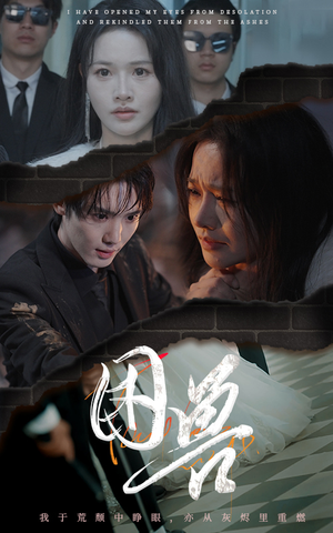 困兽（31集）精彩短剧推荐