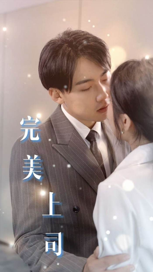 完美上司(30集) 完美上司(30集)口碑爆棚免费看