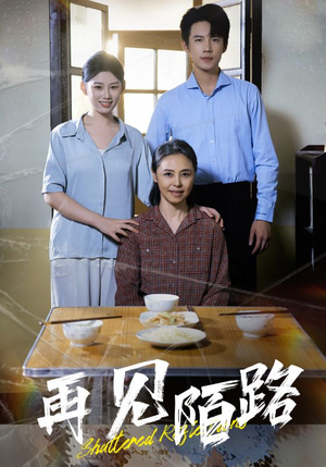 再见陌路（39集） UC网盘在线看