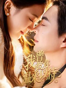 我曾被你温柔以待（57集） 口碑之选免费看