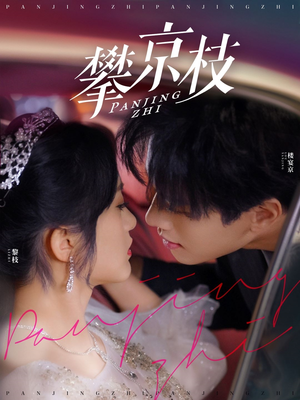 攀京枝（80集） 短剧抢先看