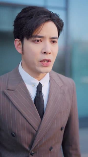 余生不见各自安好（33集） 精彩的网络短剧