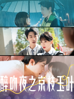 醉吻夜之京枝玉叶（90集） 第三季