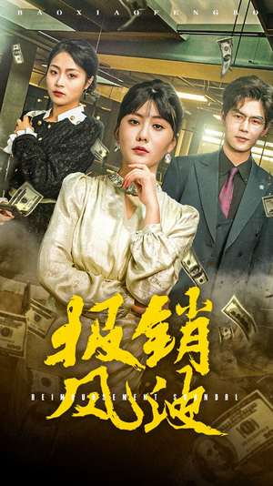 报销风波（54集） 我全都看完了