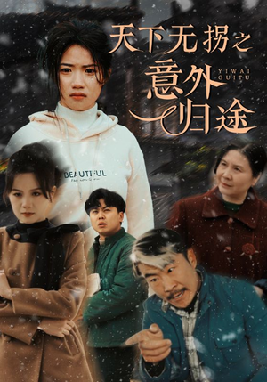 天下无拐之意外归途（61集） 更新时间