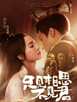 只见相思不见君(82集) 只见相思不见君(82集) 追短剧看全集