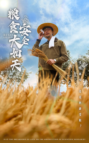 粮食安全大如天（43集） 短剧免费看