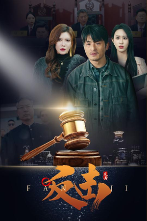 反击（41集） 直接追到结尾