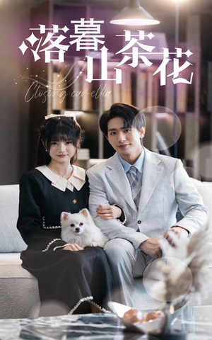 落幕山茶花（50集） 真的太好看了