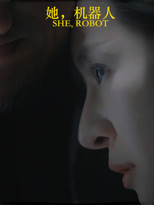 她机器人(23集) 她机器人(23集)免费看