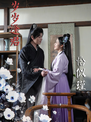 岁岁逢君恰似瑾(100集) 岁岁逢君恰似瑾(100集) 看到了大结局