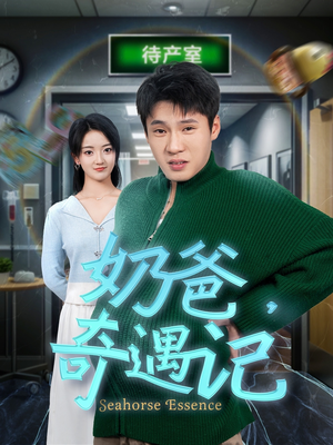 奶爸奇遇记（60集） 在哪看