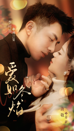 爱如冬焰$爱如冬日焰火（71集） 经典老剧免费看