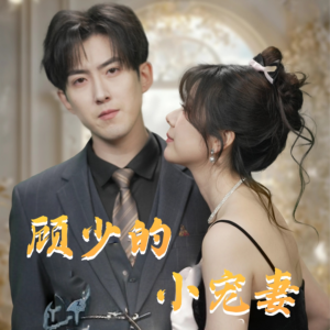 顾少的小宠妻（90集）精彩短剧随心推