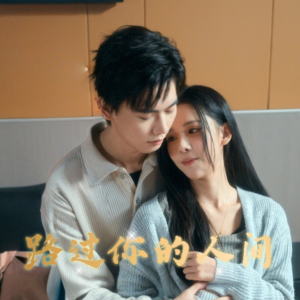 路过你的人间（31集）精彩短剧分享。