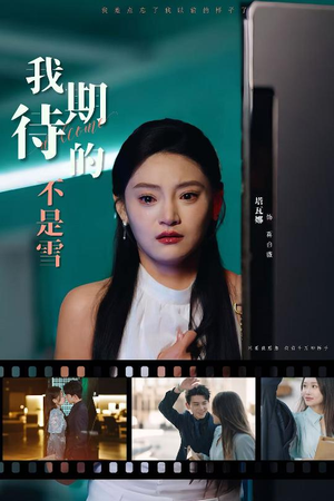 我期待的不是雪(30集) 我期待的不是雪(30集)免费观看就是爽