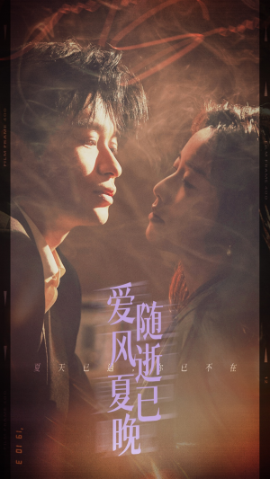 爱随风逝夏已晚（44集）好看短剧又来了