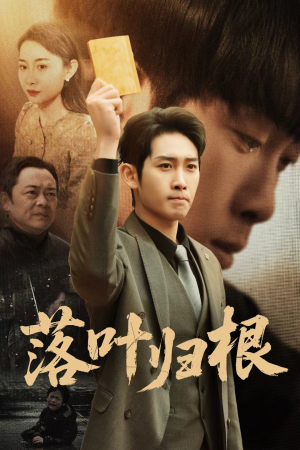 认祖归宗（35集） 追短剧关注我