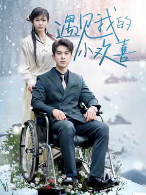 遇见我的小欢喜（70集） UC网盘在线看