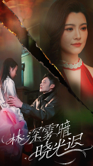 林深雾暗晓光迟(50集) 林深雾暗晓光迟(50集) 看到了大结局