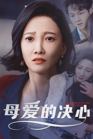 母爱的决心（40集） 精彩连连免费看