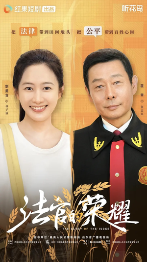 法官的荣耀（5集全）免费全集短剧