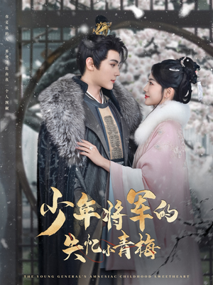少年将军的失忆小青梅（100集）战神短剧推荐