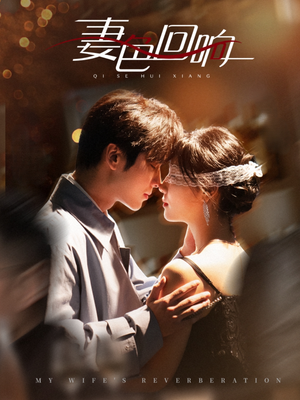 妻色回响（53集） 高清画质免费看