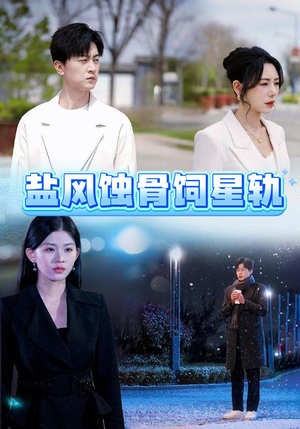 盐风蚀骨饲星轨(60集) 盐风蚀骨饲星轨(60集) 看到大结局