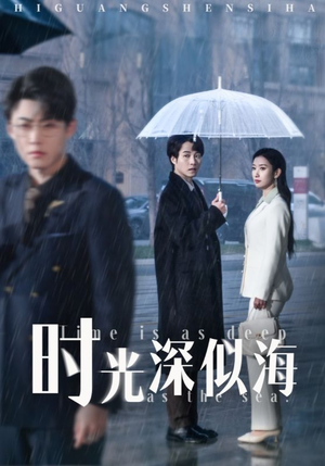 时光深似海（35集） 最热短剧推荐