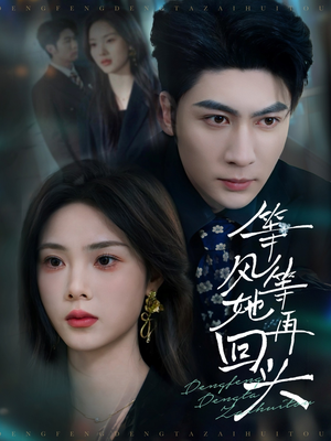 等风等她再回头（80集）追短剧看全集