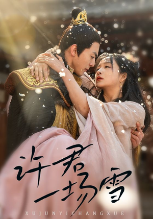 许君一场雪（43集）最新热播短剧